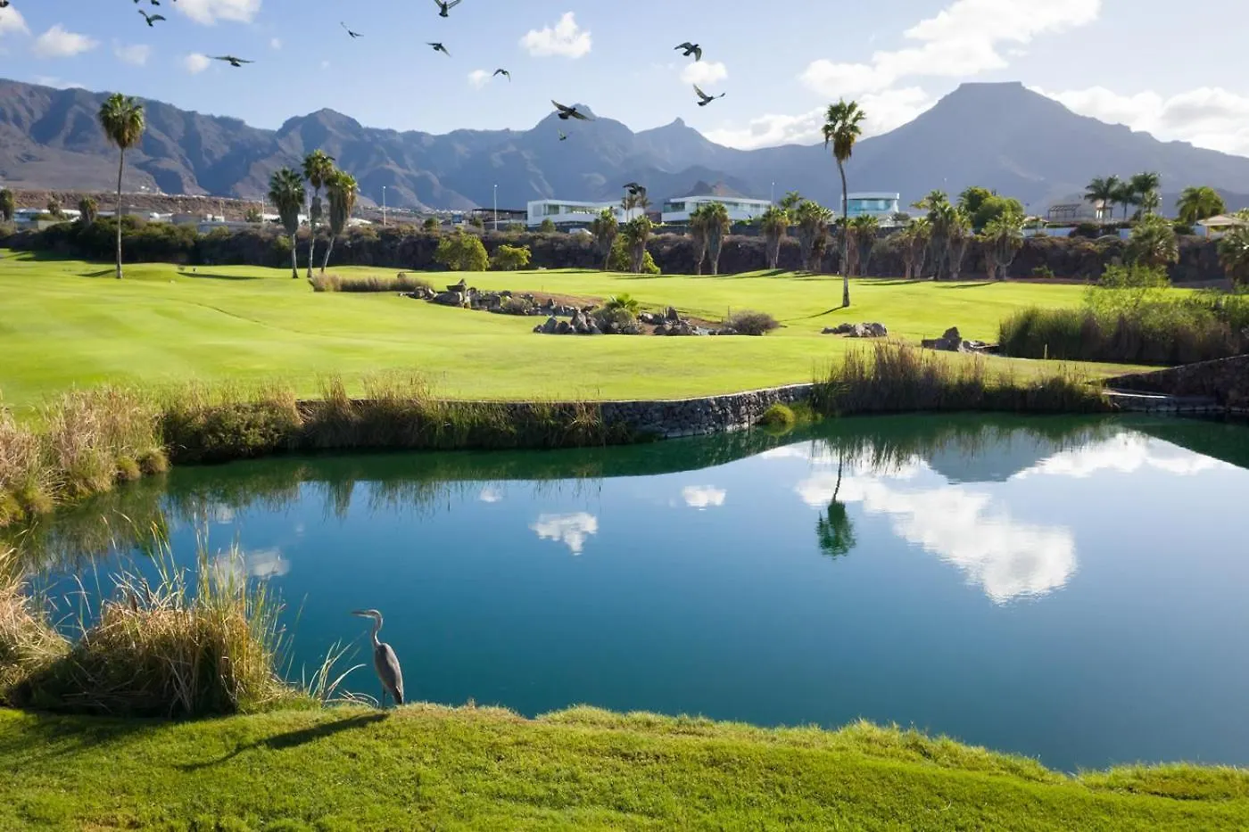 New Luxury Relaxing Holidays Golf & Sun, Costa Adeje